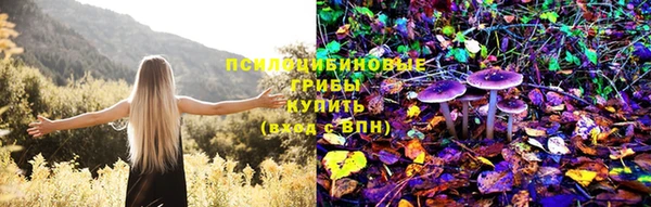тгк Протвино