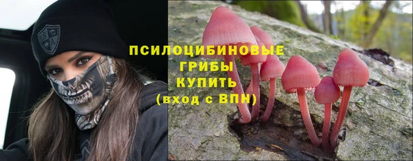мет Пролетарск