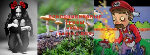 мет Пролетарск