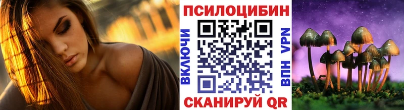 Купить закладки  Грозный  Галлюциногенные грибы мухоморы 